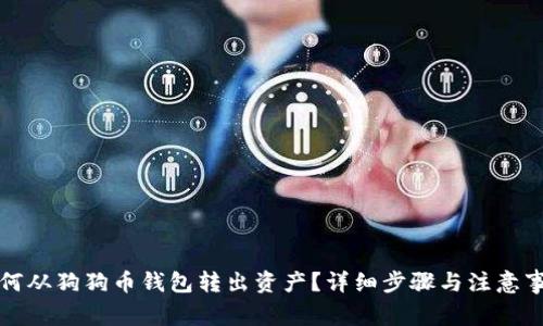 如何从狗狗币钱包转出资产？详细步骤与注意事项