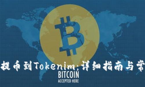 如何将屎币提币到Tokenim：详细指南与常见问题解答