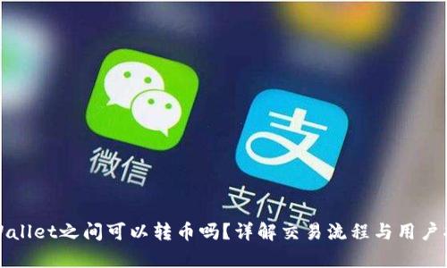 tpWallet之间可以转币吗？详解交易流程与用户指南