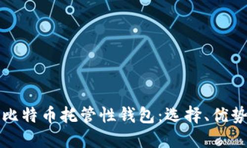 深入探索比特币托管性钱包：选择、优势与安全性