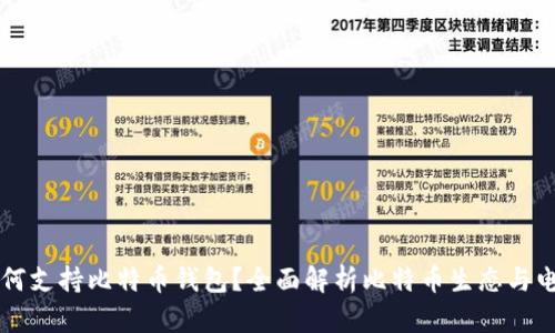 特斯拉如何支持比特币钱包？全面解析比特币生态与电动车未来