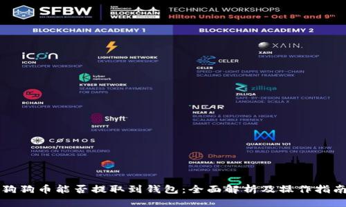 狗狗币能否提取到钱包：全面解析及操作指南