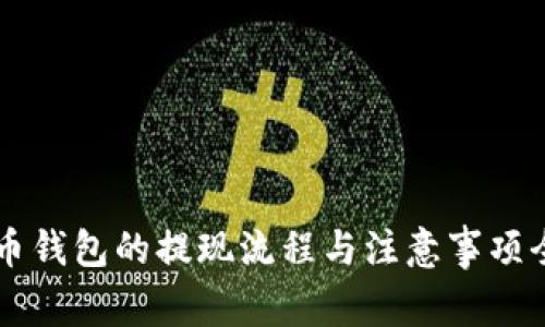 虚拟币钱包的提现流程与注意事项全解析