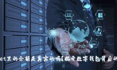 tpWallet里的余额是真实的吗？揭开数字钱包背后的