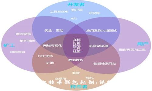 如何安全导入比特币钱包私钥：保护你的数字资产