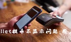 如何解决tpWallet提币不显示问题：用户常见解决方