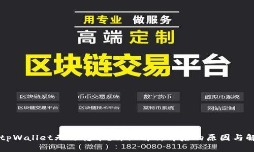 为什么tpWallet无法转币？详细解析背后的原因与解决方案