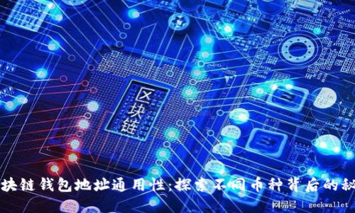 区块链钱包地址通用性：探索不同币种背后的秘密