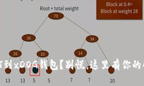 转错USDT到xDOG钱包？别慌，这里有你的解决方案！