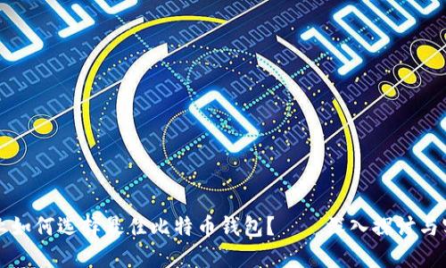 你的企业如何选择最佳比特币钱包？——深入探讨与实用指南