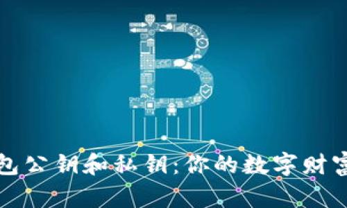 比特币钱包公钥和私钥：你的数字财富安全密码