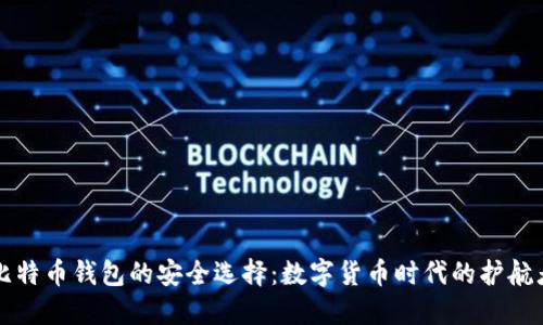 比特币钱包的安全选择：数字货币时代的护航者