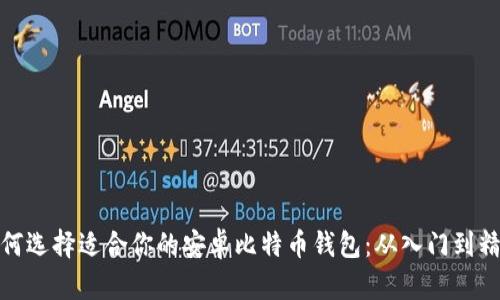 如何选择适合你的安卓比特币钱包：从入门到精通