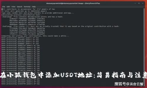 如何在小狐钱包中添加USDT地址：简易指南与注意事项
