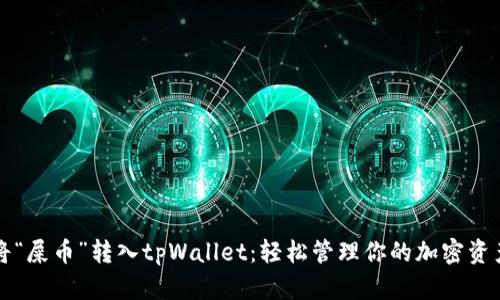 将“屎币”转入tpWallet：轻松管理你的加密资产