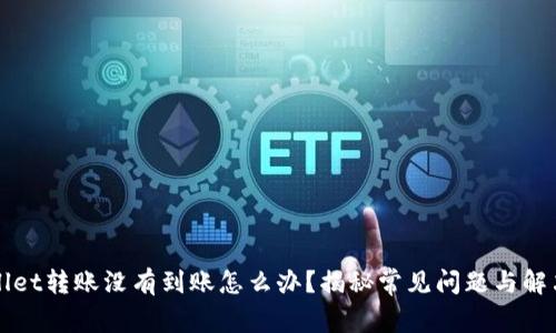 tpWallet转账没有到账怎么办？揭秘常见问题与解决方法