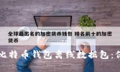 如何安全地下载比特币钱包离线数据包：保护你