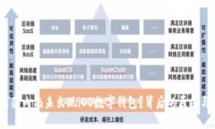 揭秘：为何国内尚未出现iOS数字钱包？背后的原