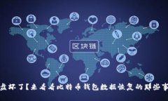 硬盘坏了？来看看比特币钱包数据恢复的那些事