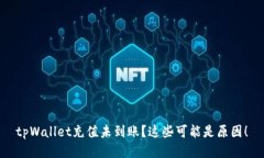 tpWallet充值未到账？这些可能是原因！