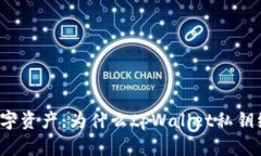保护你的数字资产：为什么tpWallet私钥绝不能截图