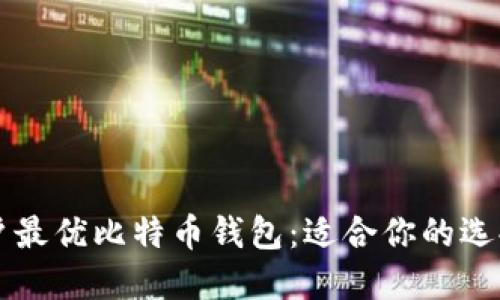 苹果手机用户最优比特币钱包：适合你的选择和使用技巧