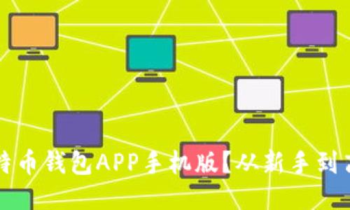 如何安全下载比特币钱包APP手机版？从新手到高手的全方位指南
