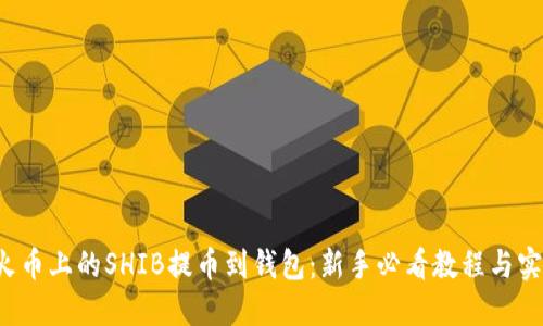 如何将火币上的SHIB提币到钱包：新手必看教程与实用技巧！