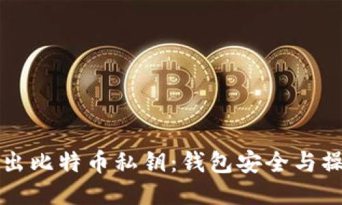 轻松导出比特币私钥：钱包安全与操作指南