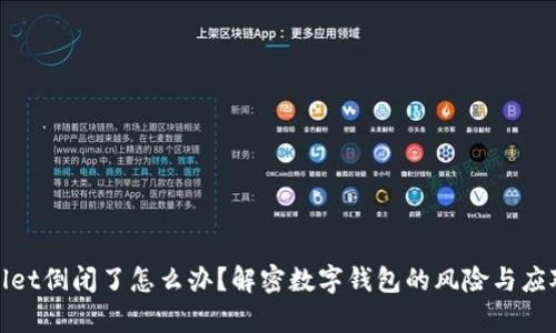 tpWallet倒闭了怎么办？解密数字钱包的风险与应对策略