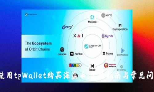  如何使用tpWallet购买海盗币：完整指南与常见问题解析
